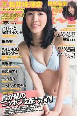 智者无敌全集